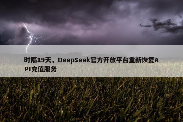 时隔19天，DeepSeek官方开放平台重新恢复API充值服务