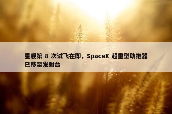 星舰第 8 次试飞在即，SpaceX 超重型助推器已移至发射台