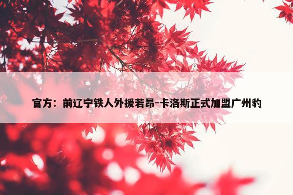 官方：前辽宁铁人外援若昂-卡洛斯正式加盟广州豹