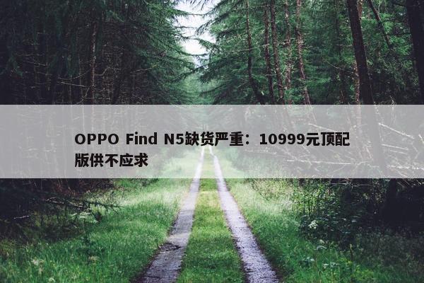 OPPO Find N5缺货严重：10999元顶配版供不应求