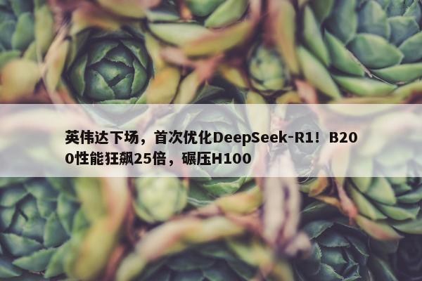 英伟达下场，首次优化DeepSeek-R1！B200性能狂飙25倍，碾压H100