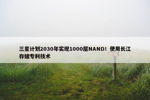 三星计划2030年实现1000层NAND！使用长江存储专利技术