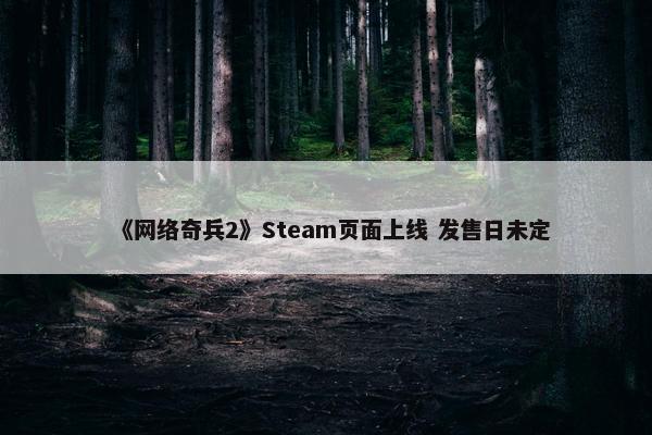 《网络奇兵2》Steam页面上线 发售日未定