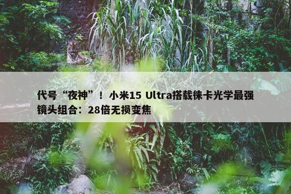 代号“夜神”！小米15 Ultra搭载徕卡光学最强镜头组合：28倍无损变焦