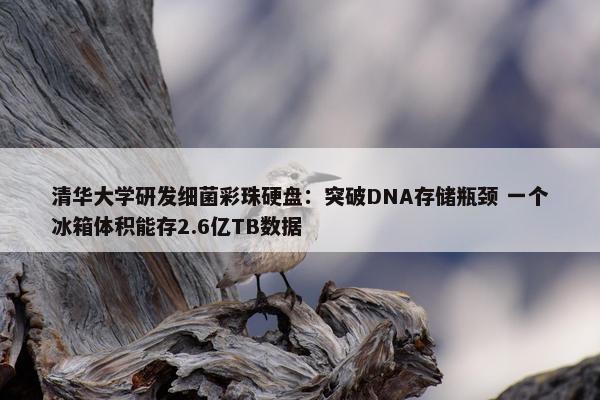 清华大学研发细菌彩珠硬盘：突破DNA存储瓶颈 一个冰箱体积能存2.6亿TB数据