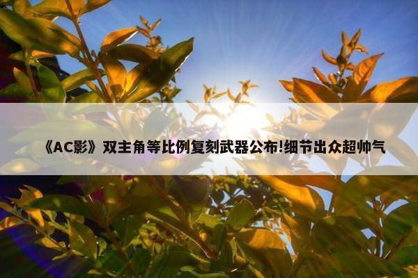 《AC影》双主角等比例复刻武器公布!细节出众超帅气