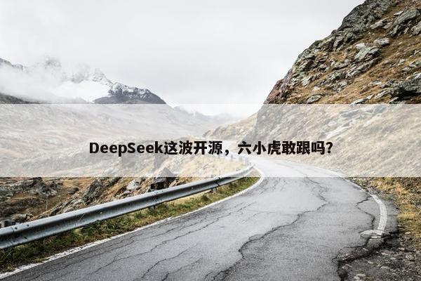 DeepSeek这波开源，六小虎敢跟吗？