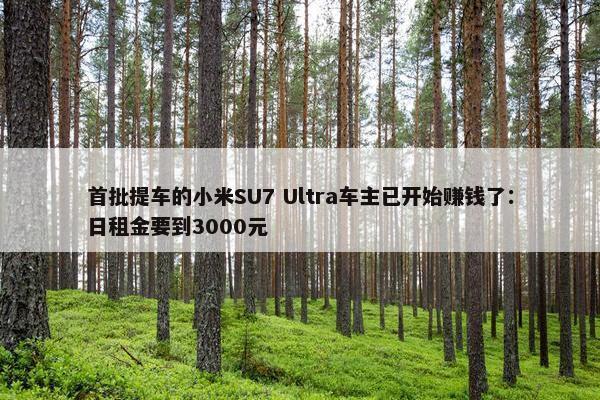 首批提车的小米SU7 Ultra车主已开始赚钱了：日租金要到3000元